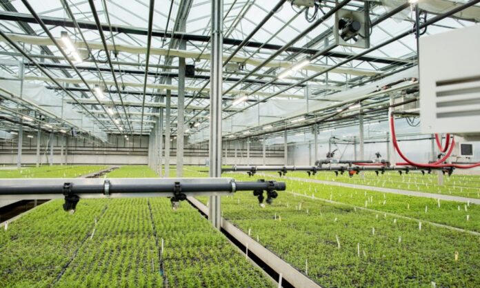 Fluence-VYPR-Greenhouse-1000x600