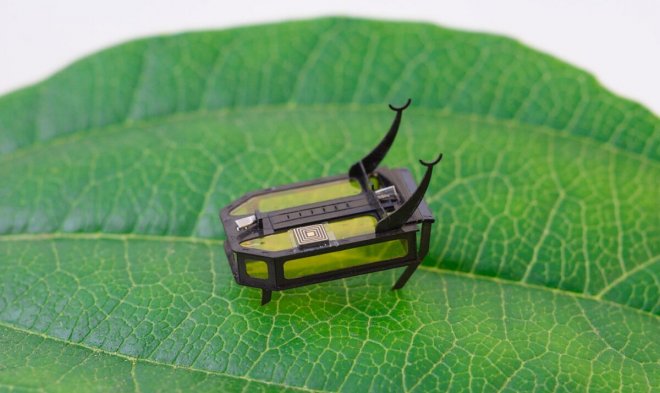 robot-robeetle